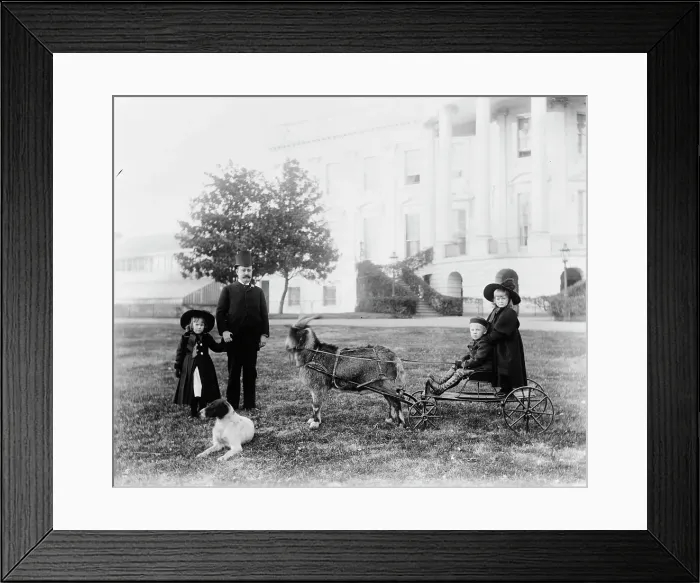 Framed Print : White House--Major Russell Harrison and Harrison children--Baby McKee and sister... c1889 - 1893. Creator: Frances Benjamin Johnston Framed Print : White House--Major Russell Harrison and Harrison children--Baby McKee and sister... c1889 - 1893. Creator: Frances Benjamin Johnston