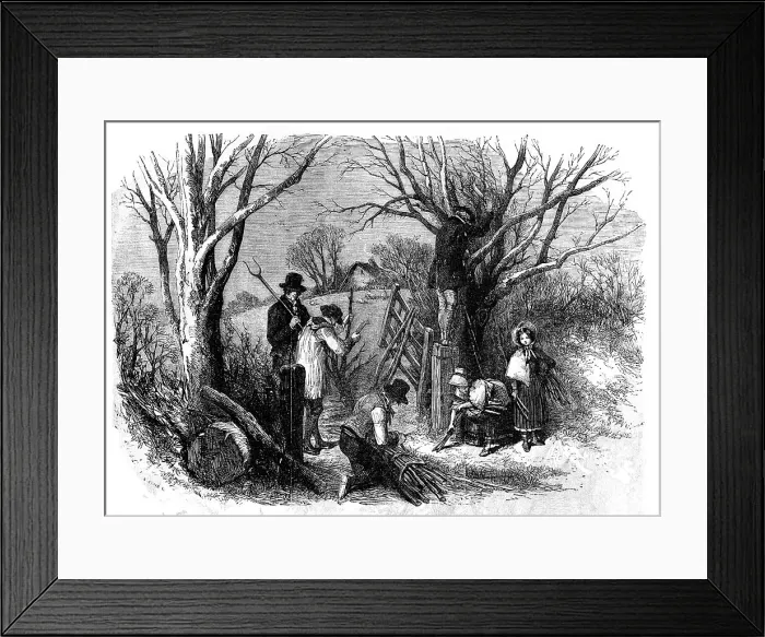 Framed Print : Cutting the Ashen Fagots; Devonshire, 1854. Creator: Edmund Evans Framed Print : Cutting the Ashen Fagots; Devonshire, 1854. Creator: Edmund Evans