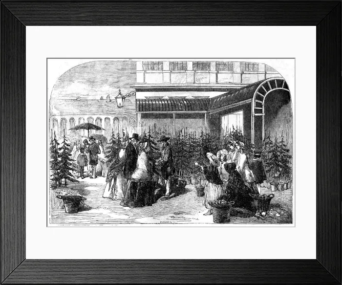 Framed Print : Christmas Trees in Covent Garden Market, 1854. Creator: Edmund Evans Framed Print : Christmas Trees in Covent Garden Market, 1854. Creator: Edmund Evans