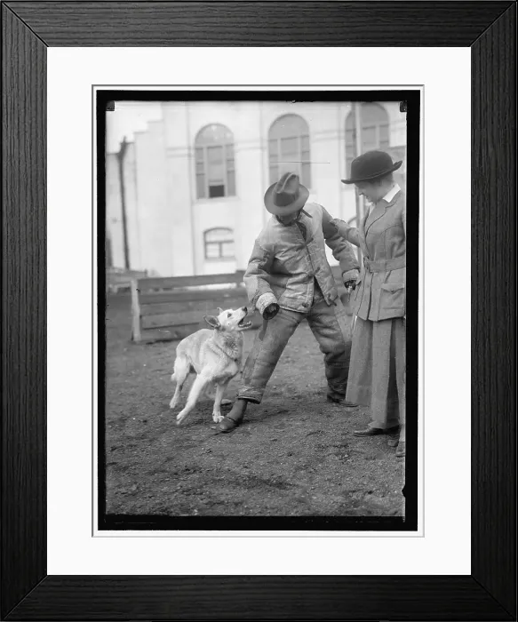 Framed Print : Society Circus, between 1910 and 1917. Creator: Harris & Ewing. Society Circus, between 1910 and 1917. Creator: Harris & Ewing Framed Print : Society Circus, between 1910 and 1917. Creator: Harris & Ewing. Society Circus, between 1910 and 1917. Creator: Harris & Ewing