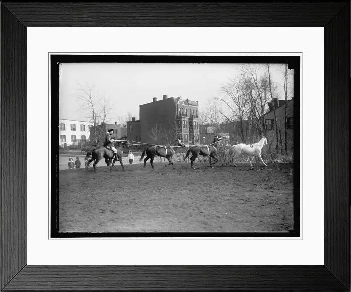 Framed Print : Society Circus, between 1910 and 1917. Creator: Harris & Ewing. Society Circus, between 1910 and 1917. Creator: Harris & Ewing Framed Print : Society Circus, between 1910 and 1917. Creator: Harris & Ewing. Society Circus, between 1910 and 1917. Creator: Harris & Ewing