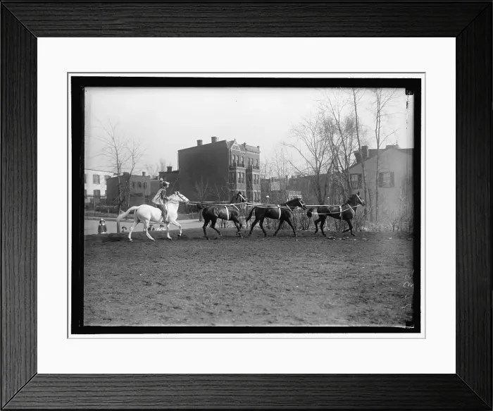 Framed Print : Society Circus, between 1910 and 1917. Creator: Harris & Ewing. Society Circus, between 1910 and 1917. Creator: Harris & Ewing Framed Print : Society Circus, between 1910 and 1917. Creator: Harris & Ewing. Society Circus, between 1910 and 1917. Creator: Harris & Ewing
