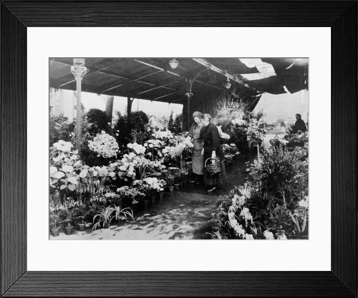 Framed Print : Flower market, Quai de la Cité, 1925. Creator: Frances Benjamin Johnston Framed Print : Flower market, Quai de la Cité, 1925. Creator: Frances Benjamin Johnston
