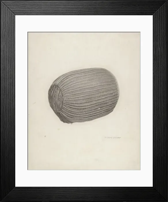 Framed Print : Baby's Bonnet, c. 1939. Creator: Richard Whitaker Framed Print : Baby's Bonnet, c. 1939. Creator: Richard Whitaker