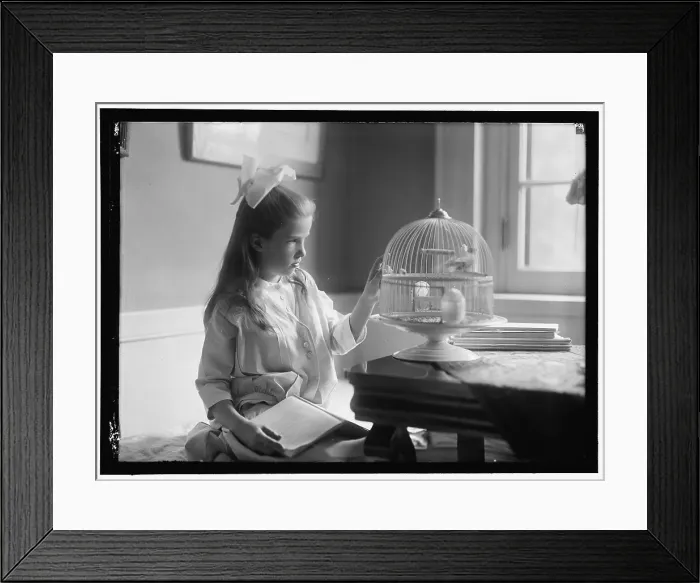 Framed Print : Child with birdcage, between 1910 and 1917. Creator: Harris & Ewing. Child with birdcage, between 1910 and 1917. Creator: Harris & Ewing Framed Print : Child with birdcage, between 1910 and 1917. Creator: Harris & Ewing. Child with birdcage, between 1910 and 1917. Creator: Harris & Ewing