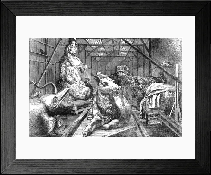 Framed Print : Collection of extinct animals in the Crystal Palace, Sydenham, 1854. Creator: Unknown Framed Print : Collection of extinct animals in the Crystal Palace, Sydenham, 1854. Creator: Unknown