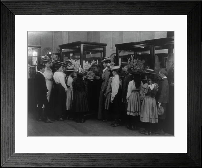 Framed Print : Washington, D.C. school children on field trip - at the Smithsonian, (1899?). Creator: Frances Benjamin Johnston Framed Print : Washington, D.C. school children on field trip - at the Smithsonian, (1899?). Creator: Frances Benjamin Johnston