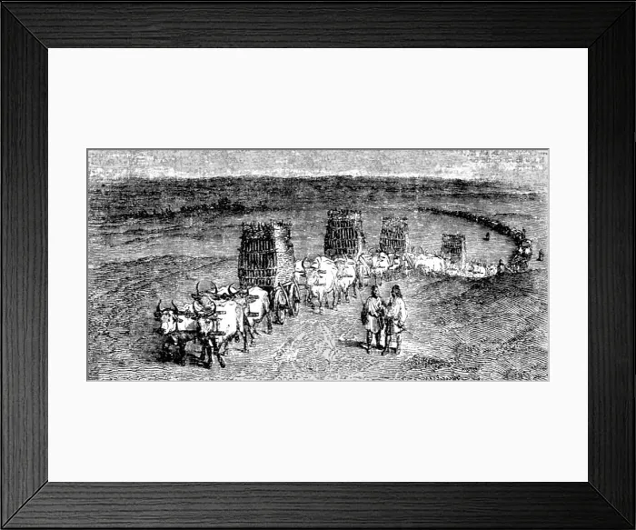 Framed Print : Moldavian Transport Wagons, 1854 Creator: Unknown Framed Print : Moldavian Transport Wagons, 1854 Creator: Unknown