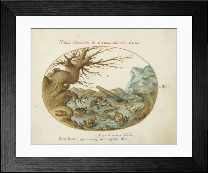 Framed Print : Animalia Qvadrvpedia et Reptilia (Terra): Plate LIV, c. 1575 / 1580. Creator: Joris Hoefnagel Framed Print : Animalia Qvadrvpedia et Reptilia (Terra): Plate LIV, c. 1575 / 1580. Creator: Joris Hoefnagel