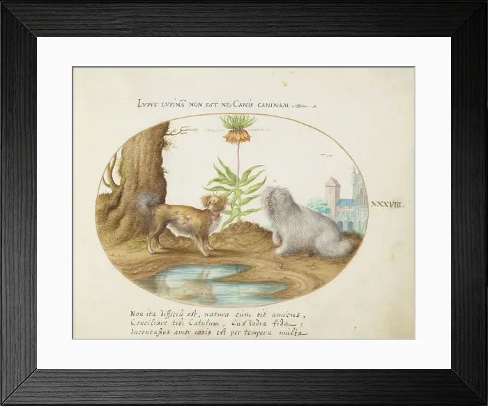 Framed Print : Animalia Qvadrvpedia et Reptilia (Terra): Plate XXXVIII, c. 1575 / 1580. Creator: Joris Hoefnagel Framed Print : Animalia Qvadrvpedia et Reptilia (Terra): Plate XXXVIII, c. 1575 / 1580. Creator: Joris Hoefnagel