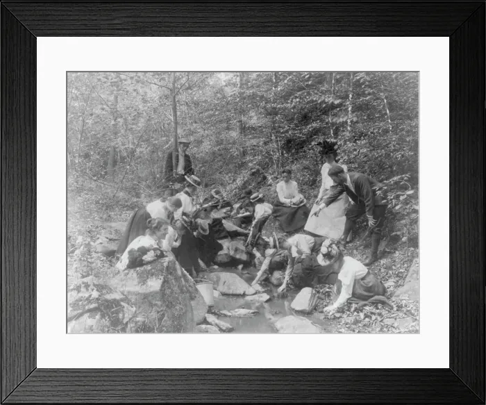 Framed Print : Students from Western High School studying biology outdoors at a stream, Washington, D.C. (1899?). Creator: Frances Benjamin Johnston Framed Print : Students from Western High School studying biology outdoors at a stream, Washington, D.C. (1899?). Creator: Frances Benjamin Johnston