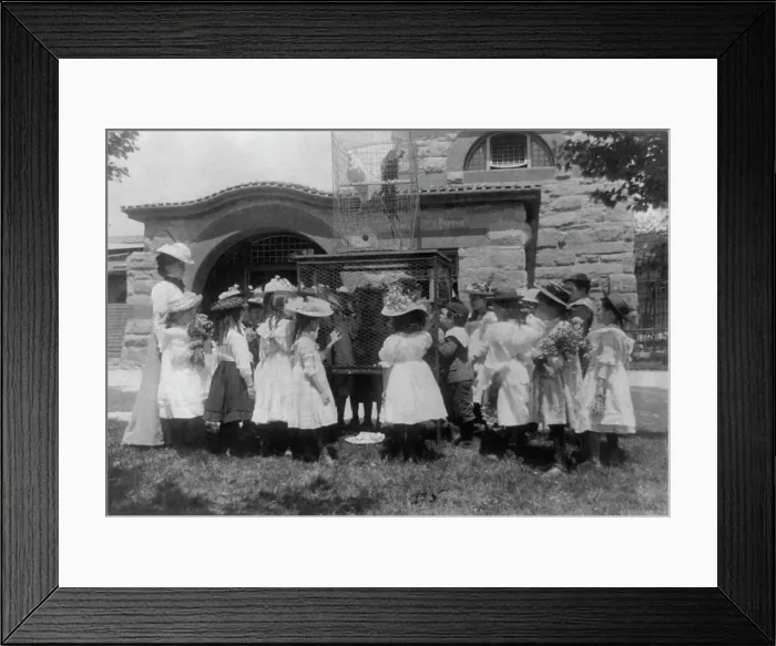Framed Print : A class at the zoo - the bird cage, (1899?). Creator: Frances Benjamin Johnston Framed Print : A class at the zoo - the bird cage, (1899?). Creator: Frances Benjamin Johnston