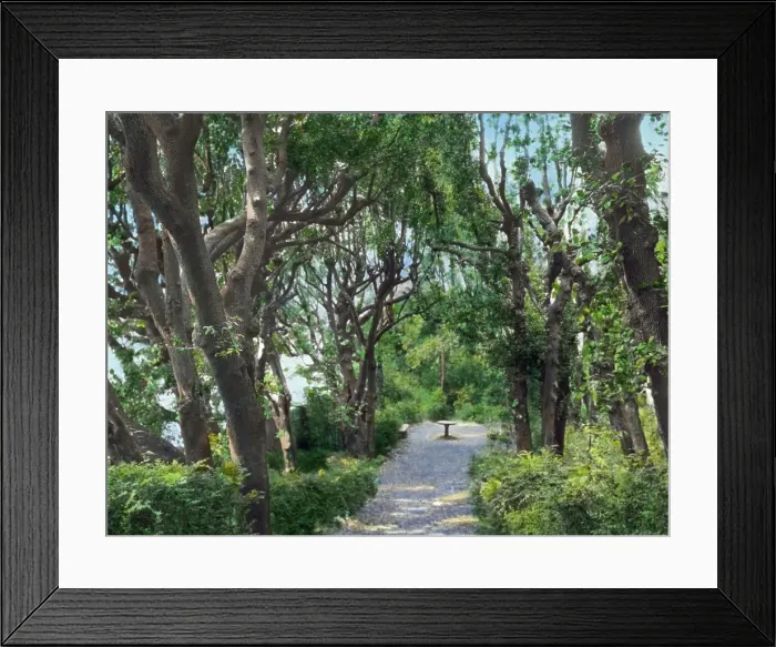 Framed Print : Villa Gamberaia, Settignano, Tuscany, Italy, 1925. Creator: Frances Benjamin Johnston Framed Print : Villa Gamberaia, Settignano, Tuscany, Italy, 1925. Creator: Frances Benjamin Johnston