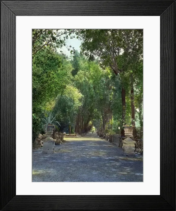Framed Print : Villa Borghese, Rome, Lazio, Italy, 1925. Creator: Frances Benjamin Johnston