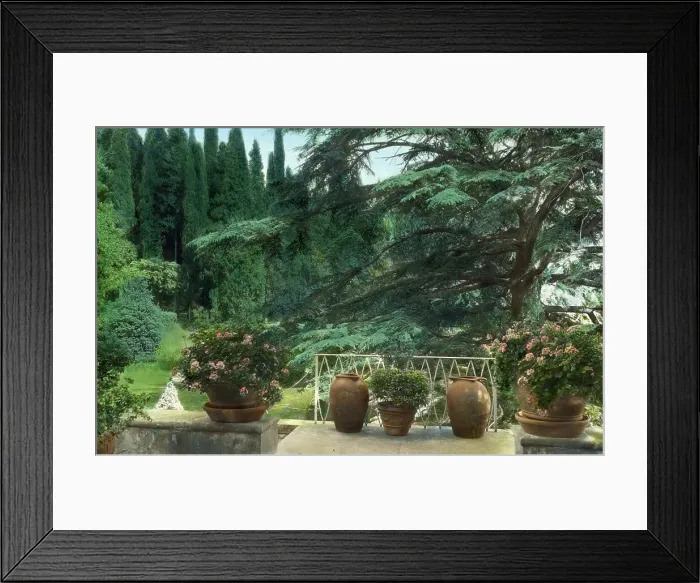 Framed Print : Villa Bel Riposo, San Domenico, Tuscany, Italy, 1925. Creator: Frances Benjamin Johnston Framed Print : Villa Bel Riposo, San Domenico, Tuscany, Italy, 1925. Creator: Frances Benjamin Johnston