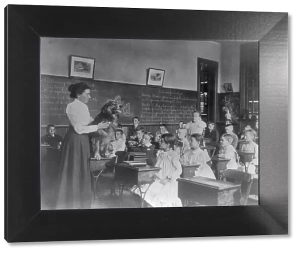 Washington, D.C. public schools, 5th Div. - teacher showing dog, (1899?). Creator: Frances Benjamin Johnston