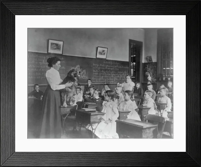 Framed Print : Washington, D.C. public schools, 5th Div. - teacher showing dog, (1899?). Creator: Frances Benjamin Johnston Framed Print : Washington, D.C. public schools, 5th Div. - teacher showing dog, (1899?). Creator: Frances Benjamin Johnston