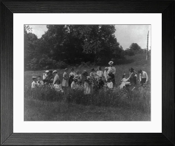 Framed Print : School children examining wild flowers on field trip - 1st Division, Washington, D.C... (1899?). Creator: Frances Benjamin Johnston Framed Print : School children examining wild flowers on field trip - 1st Division, Washington, D.C... (1899?). Creator: Frances Benjamin Johnston