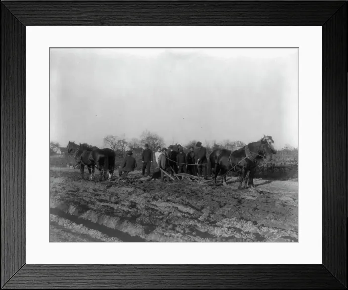 Framed Print : American Indian and African American students at Hampton Institute, Hampton, Va. 1900(?) Creator: Frances Benjamin Johnston Framed Print : American Indian and African American students at Hampton Institute, Hampton, Va. 1900(?) Creator: Frances Benjamin Johnston