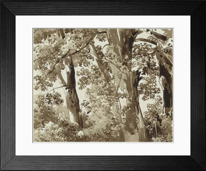 Framed Print : Trees with Dense Undergrowth, 1800 / 1820. Creator: Franz Kobell