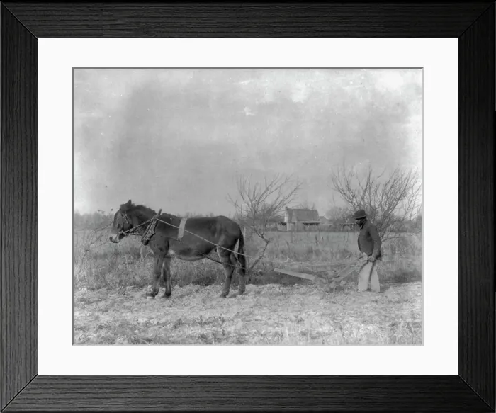 Framed Print : American Indian and African American students at Hampton Institute, Hampton, Va. 1900(?) Creator: Frances Benjamin Johnston Framed Print : American Indian and African American students at Hampton Institute, Hampton, Va. 1900(?) Creator: Frances Benjamin Johnston
