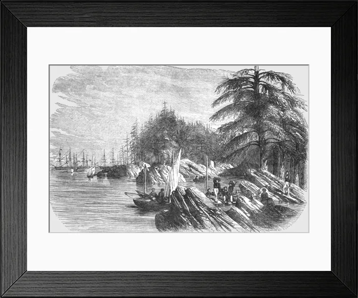 Framed Print : Landing of the French Troops at the Island of Trescos-- one of the Aland Group, 1854. Creator: Unknown Framed Print : Landing of the French Troops at the Island of Trescos-- one of the Aland Group, 1854. Creator: Unknown