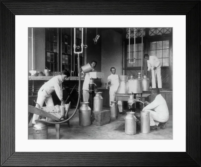 Framed Print : Five men making butter in a class at Hampton Institute, Hampton, Va. 1899 or 1900. Creator: Frances Benjamin Johnston Framed Print : Five men making butter in a class at Hampton Institute, Hampton, Va. 1899 or 1900. Creator: Frances Benjamin Johnston