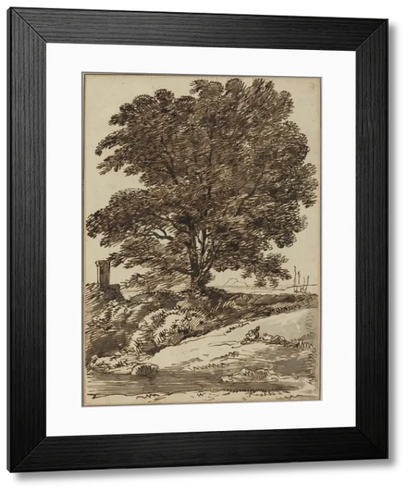 Framed Print : Seacoast with a Great Tree. Creator: Franz Kobell