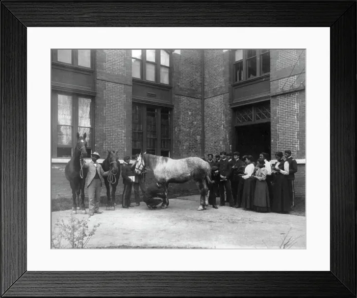 Framed Print : African American students judging horses - Hampton Institute, 1899 or 1900. Creator: Frances Benjamin Johnston Framed Print : African American students judging horses - Hampton Institute, 1899 or 1900. Creator: Frances Benjamin Johnston