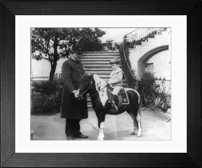 Framed Print : Quentin Roosevelt instructed in horsemanship at the White House, c1902 June 17. Creator: Frances Benjamin Johnston Framed Print : Quentin Roosevelt instructed in horsemanship at the White House, c1902 June 17. Creator: Frances Benjamin Johnston