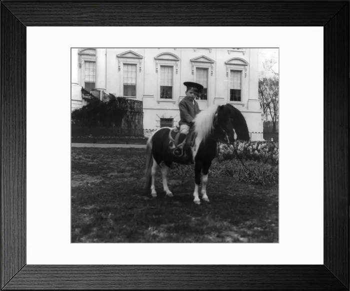 Framed Print : Quentin Roosevelt on a pony, c1902 June 17. Creator: Frances Benjamin Johnston Framed Print : Quentin Roosevelt on a pony, c1902 June 17. Creator: Frances Benjamin Johnston