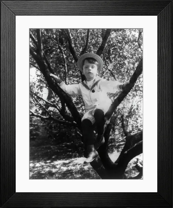 Framed Print : Quentin Roosevelt, c1902 June 17. Creator: Frances Benjamin Johnston Framed Print : Quentin Roosevelt, c1902 June 17. Creator: Frances Benjamin Johnston