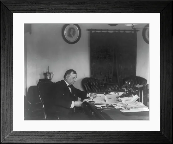 Framed Print : John Wanamaker, c1890. Creator: Frances Benjamin Johnston