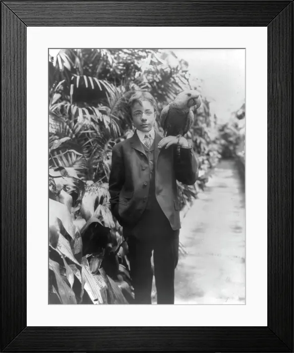 Framed Print : Teddy, Jr. & Eli Yale, c1902 June 17. Creator: Frances Benjamin Johnston. Teddy, Jr. & Eli Yale, c1902 June 17. Creator: Frances Benjamin Johnston Framed Print : Teddy, Jr. & Eli Yale, c1902 June 17. Creator: Frances Benjamin Johnston. Teddy, Jr. & Eli Yale, c1902 June 17. Creator: Frances Benjamin Johnston