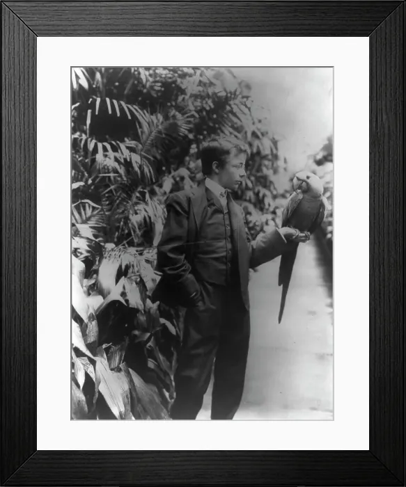 Framed Print : Theodore Roosevelt & Eli Yale blue macaw, c1902 June 17. Creator: Frances Benjamin Johnston. Theodore Roosevelt & Eli Yale blue macaw, c1902 June 17. Creator: Frances Benjamin Johnston Framed Print : Theodore Roosevelt & Eli Yale blue macaw, c1902 June 17. Creator: Frances Benjamin Johnston. Theodore Roosevelt & Eli Yale blue macaw, c1902 June 17. Creator: Frances Benjamin Johnston