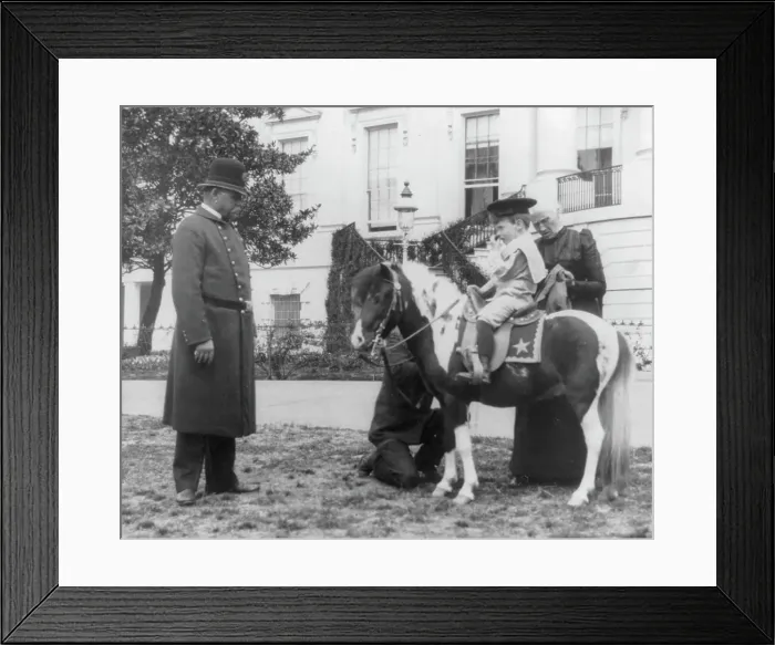 Framed Print : Quentin Roosevelt on pony in front of White House, 1900?. Creator: Frances Benjamin Johnston Framed Print : Quentin Roosevelt on pony in front of White House, 1900?. Creator: Frances Benjamin Johnston