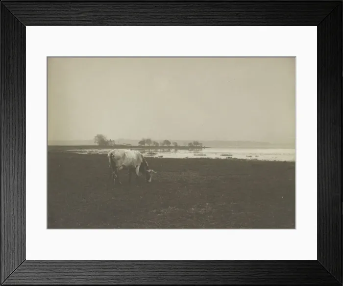 Framed Print : Potomac River from below Alexandria, Virginia, c1895. Creator: Frances Benjamin Johnston Framed Print : Potomac River from below Alexandria, Virginia, c1895. Creator: Frances Benjamin Johnston