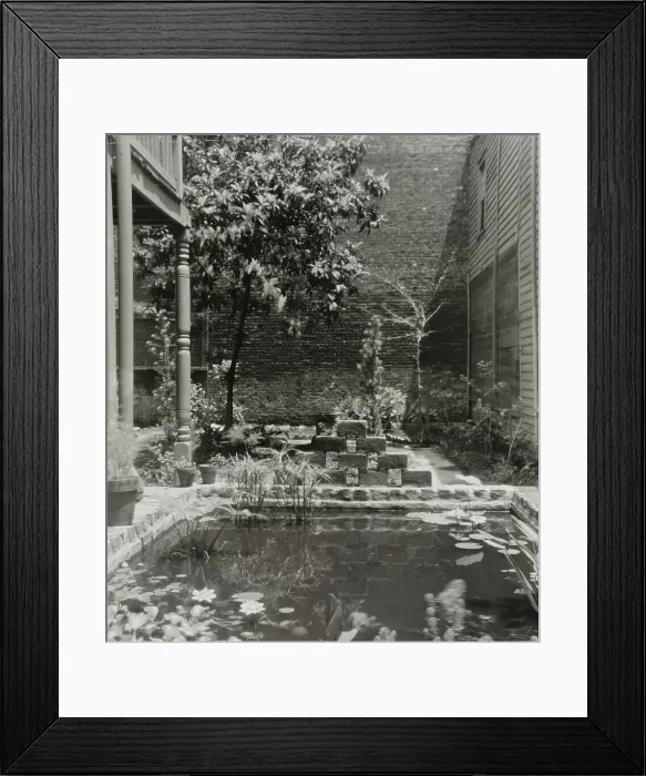 Framed Print : My patio court, March 21 to May, 1946. Creator: Frances Benjamin Johnston Framed Print : My patio court, March 21 to May, 1946. Creator: Frances Benjamin Johnston
