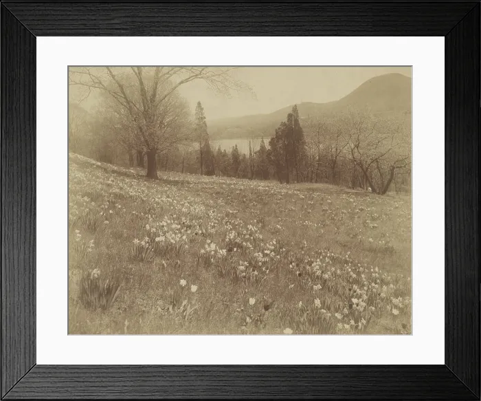 Framed Print : J.P. Morgan Estate, Cragston, on the Hudson, 1913. Creator: Frances Benjamin Johnston. J.P. Morgan Estate, Cragston, on the Hudson, 1913. Creator: Frances Benjamin Johnston Framed Print : J.P. Morgan Estate, Cragston, on the Hudson, 1913. Creator: Frances Benjamin Johnston. J.P. Morgan Estate, Cragston, on the Hudson, 1913. Creator: Frances Benjamin Johnston
