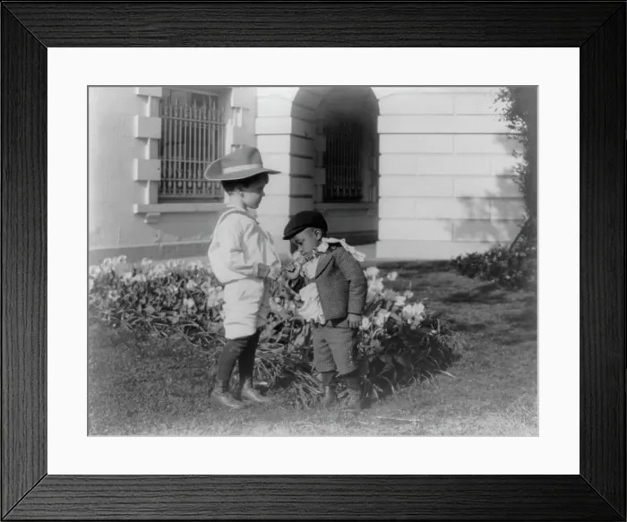 Framed Print : Quentin Roosevelt as a child in front of a flower garden...White House, Washington DC, c1900 - 1905. Creator: Frances Benjamin Johnston Framed Print : Quentin Roosevelt as a child in front of a flower garden...White House, Washington DC, c1900 - 1905. Creator: Frances Benjamin Johnston