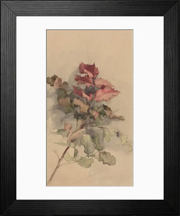 Framed Print : Study of the shrub, 1900. Creator: Karel Vitezslav Masek Framed Print : Study of the shrub, 1900. Creator: Karel Vitezslav Masek