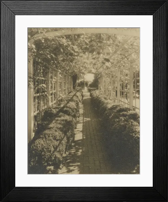 Framed Print : Grape arbor, George Read II house...New Castle, Delaware, 1928. Creator: Frances Benjamin Johnston Framed Print : Grape arbor, George Read II house...New Castle, Delaware, 1928. Creator: Frances Benjamin Johnston