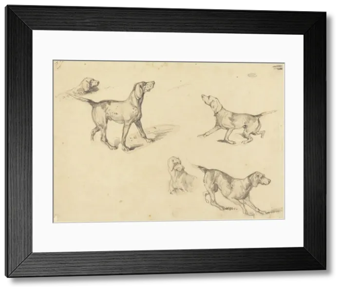 Framed Print : Five Studies of a French Pointer, 1825 / 1826. Creator: Richard Parkes Bonington Framed Print : Five Studies of a French Pointer, 1825 / 1826. Creator: Richard Parkes Bonington