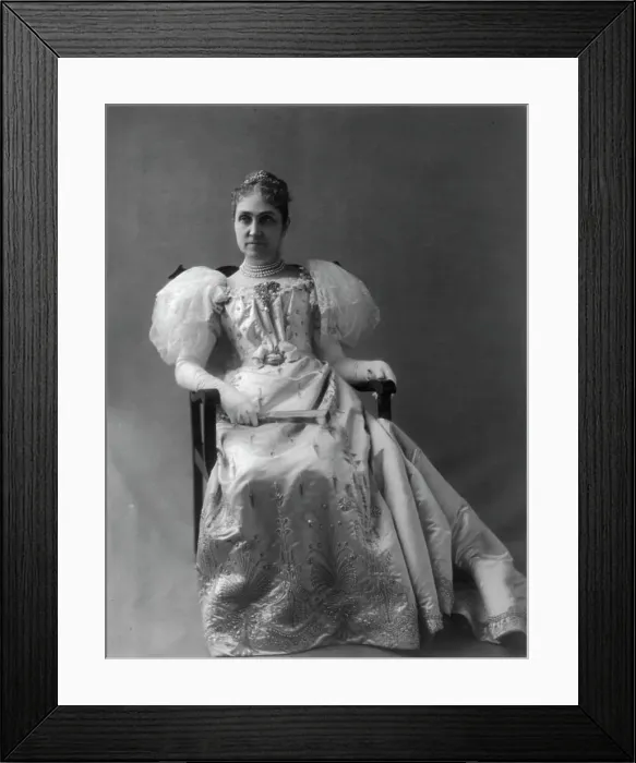 Framed Print : Phoebe (Apperson) Hearst, 1842-1919, c1895. Creator: Frances Benjamin Johnston Framed Print : Phoebe (Apperson) Hearst, 1842-1919, c1895. Creator: Frances Benjamin Johnston