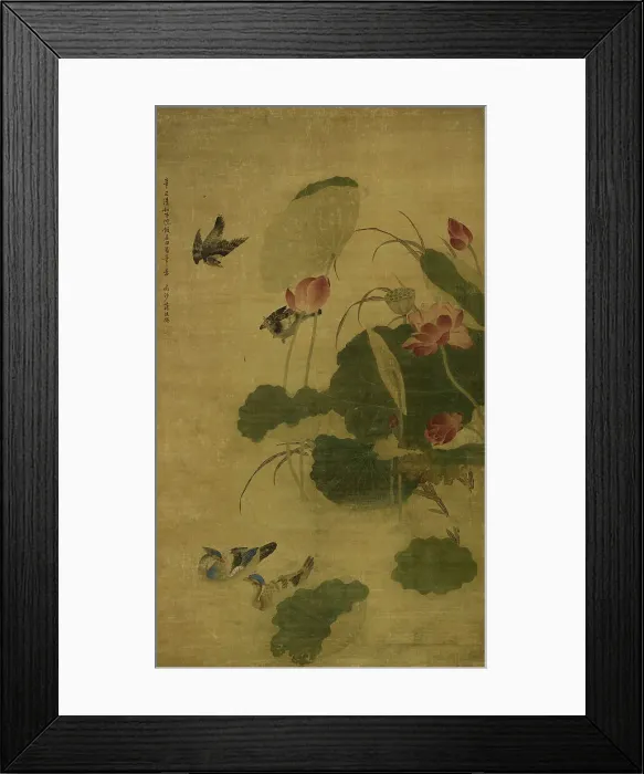 Framed Print : Birds and lotus, 1701. Creator: Jiang Tingxi Framed Print : Birds and lotus, 1701. Creator: Jiang Tingxi