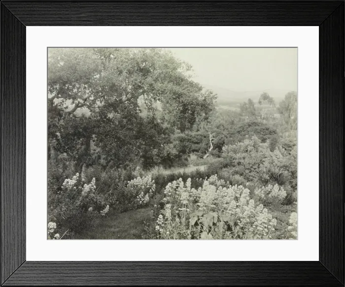 Framed Print : El Cerrito, Edward Larned Ryerson Jr. house, Hot Springs Road, Santa Barbara, California, 1917. Creator: Frances Benjamin Johnston. El Cerrito, Edward Larned Ryerson Jr. house, Hot Springs Road, Santa Barbara, California, 1917 Framed Print : El Cerrito, Edward Larned Ryerson Jr. house, Hot Springs Road, Santa Barbara, California, 1917. Creator: Frances Benjamin Johnston. El Cerrito, Edward Larned Ryerson Jr. house, Hot Springs Road, Santa Barbara, California, 1917