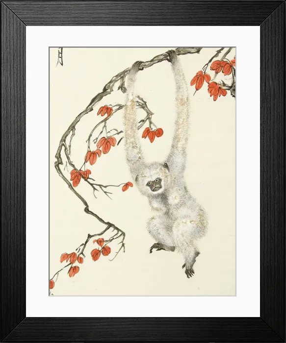 Framed Print : White monkey, 1937. Creator: Zhang Shanzi Framed Print : White monkey, 1937. Creator: Zhang Shanzi