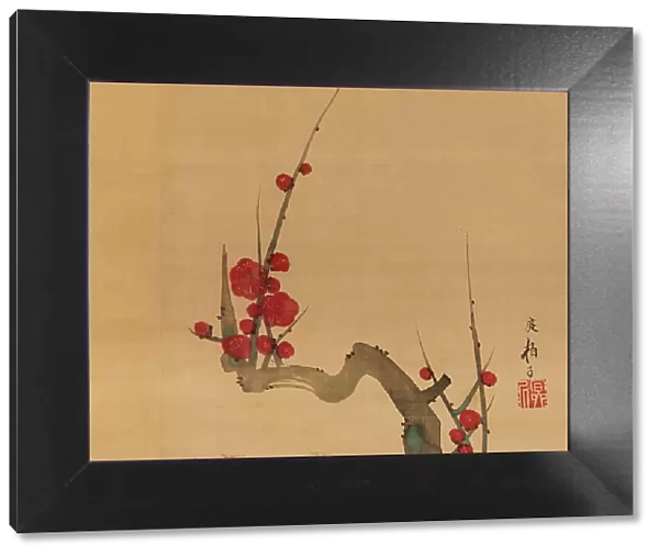 Plum blossom, c.1801. Creator: Sakai Hoitsu