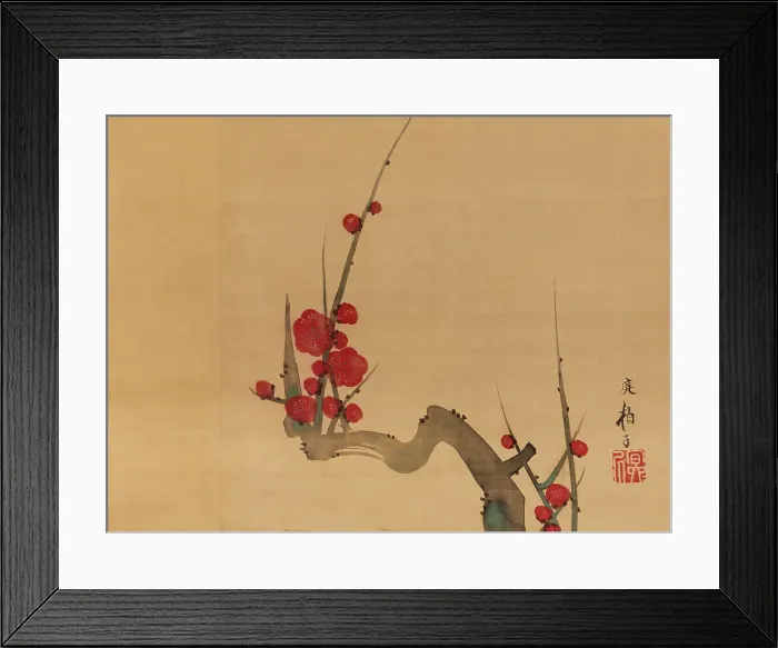 Framed Print : Plum blossom, c.1801. Creator: Sakai Hoitsu Framed Print : Plum blossom, c.1801. Creator: Sakai Hoitsu