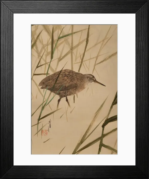 Framed Print : The Twelve Months: Sixth Month, between 1900 and 1918. Creator: Watanabe Seitei Framed Print : The Twelve Months: Sixth Month, between 1900 and 1918. Creator: Watanabe Seitei